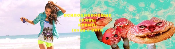 ешки Алексин