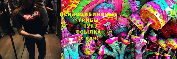 ешки Алексин
