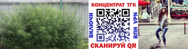 мориарти состав Дегтярск Дистиллят ТГК гашишное масло МЕГА